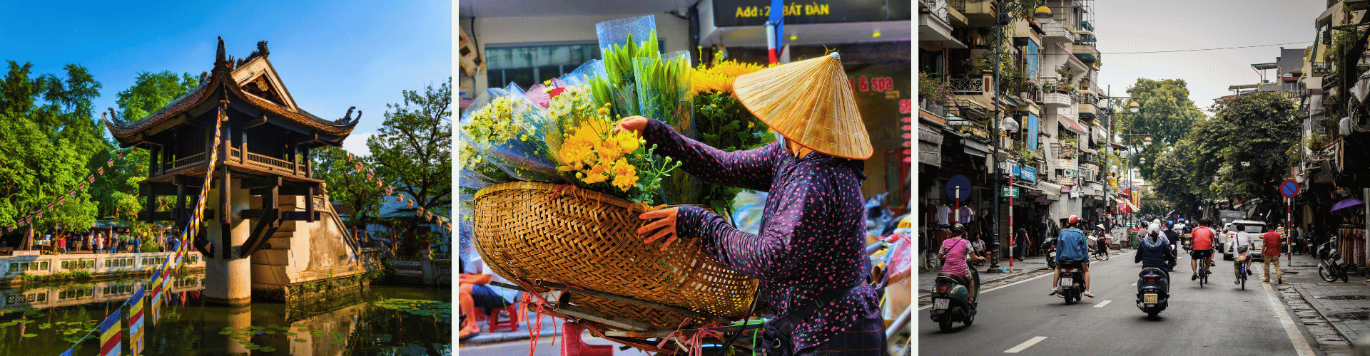 NVH - Day 1 NVH Day 1